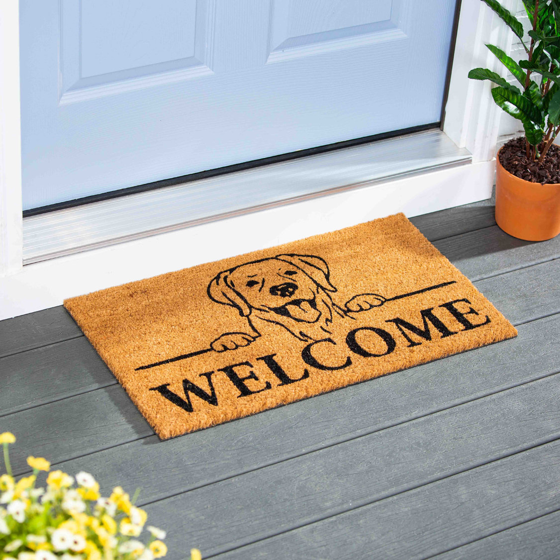 https://assets.wfcdn.com/im/24214642/compr-r85/2223/222388960/eulon-non-slip-outdoor-doormat.jpg