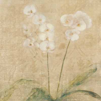 Orchid Square par Cheri Blum