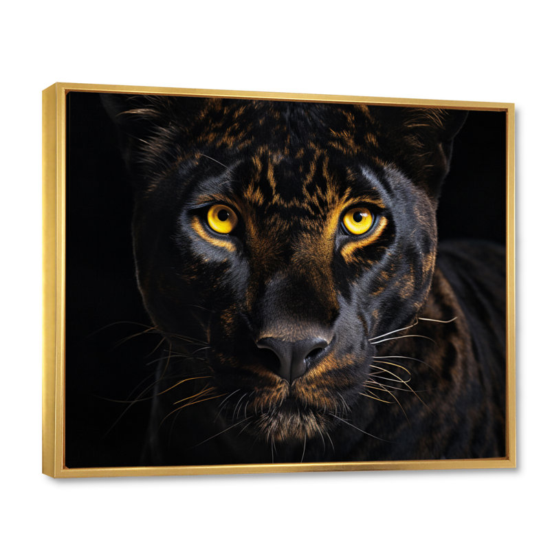 Noir, panthère blanche et majestueuse panthère, Cadre flottant doré, H 12 po x l 20 po x P 1 po