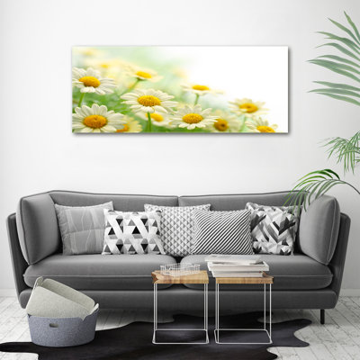 Daisies - No Frame Print on Canvas