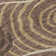 Leis Abstract Indoor Rug