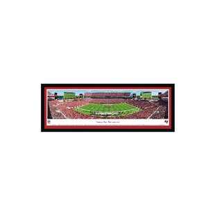 8 X 32 Mlb Tampa Bay Rays 3d Stadium Banner : Target
