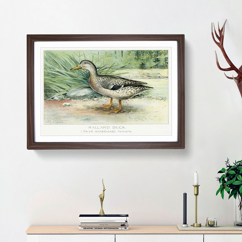 A Mallard Duck by J.L. Ridgway - Single Picture Frame Painting, Walnut Framed, 45cm H x 63cm W x 2cm D