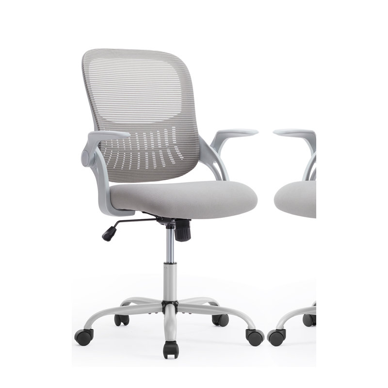 Azaryia Ergonomic Mesh Commercial Office Chair With Flip-Up Armrest, Gray, Gray