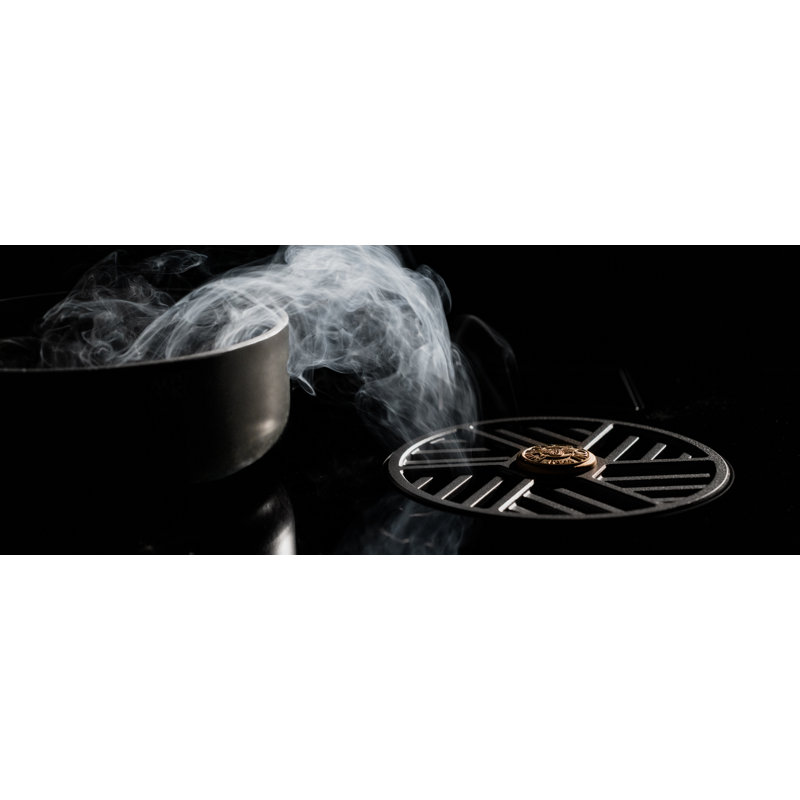 Professional Series 36" Induction Downdraft Cooktop Black Glass