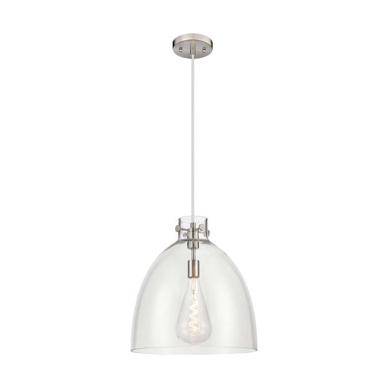 Luminaire suspendu à 1 lumière Badgett, Clair, H 16 po x l 14 po x P 14 po, Nickel satiné