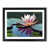 Black Framed selected