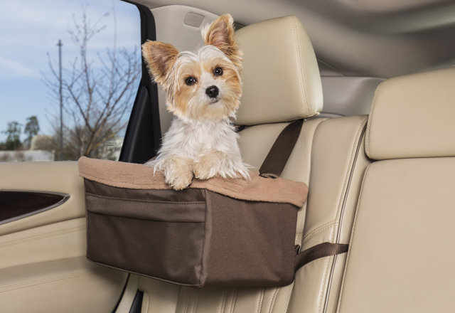 Top-Rated Dog Car Accessories