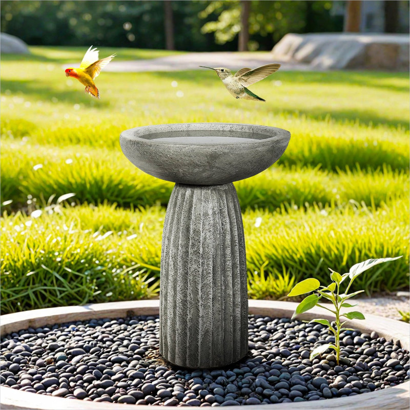 Bain d'oiseaux pour patio extérieur, bain d'oiseaux piédestal résistant aux intempéries 24,4 po | Ciment béton | Gris