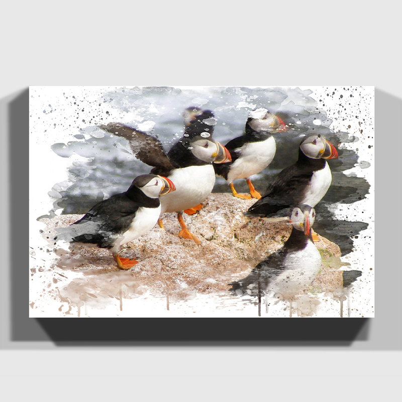 Atlantic Puffin Birds - Wall Art, 35cm H x 50cm W, Wrapped Canvas