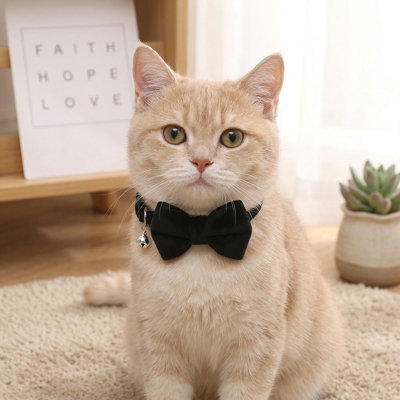 Suede Bowtie Cat Collar with Removable Butterfly Bow & Bell – Adjustable Breakaway Pet Collar with Safety Buckle & D-Ring, for Kittens, Cats & Small Dogs (7.5–12.6", 6 Colors)