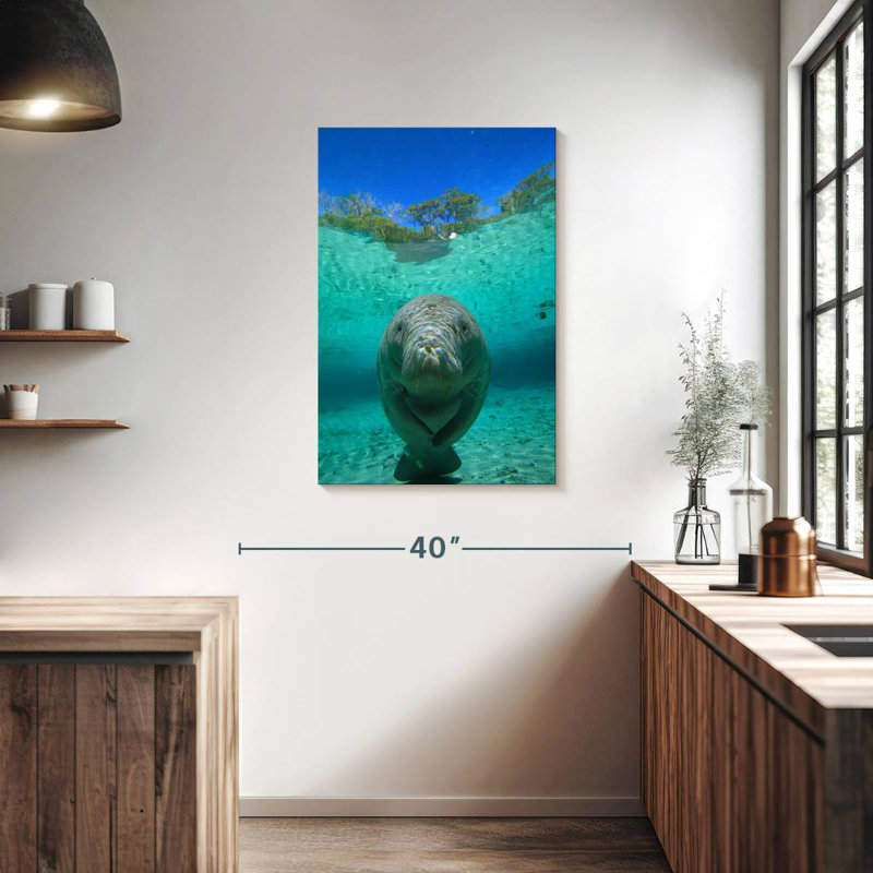 Brampt Crystal River Manatee, 36" H x 24" W