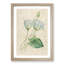 Egyptian Lotus Flowers by Pierre-Joseph Redoute - Picture Frame Painting Print-55539469-55539470
