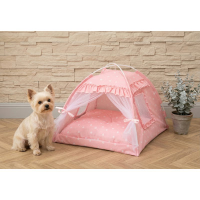 Tente de lit princesse pour chats et petits chiens, adorable abri intérieur, nid de style caverne pour chiots chatons, rose, dimensions 19,6 po x 19,6 po x 17,7 po