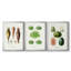 Fruit et légume Variétés VI - Toile tendue sur mesure avec châssis, 3 pièces-740690885-740690880
