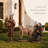 4Pc Shepherds/Animals Outdoor Nativity