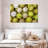 Sireci Softball Collection-107489551
