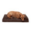 Coussin orthopédique Snuggle NAP Deluxe-1577706406-1577706407