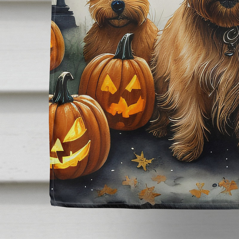 Drapeau de maison d'Halloween en polyester à double face H 40 po x l 28 po