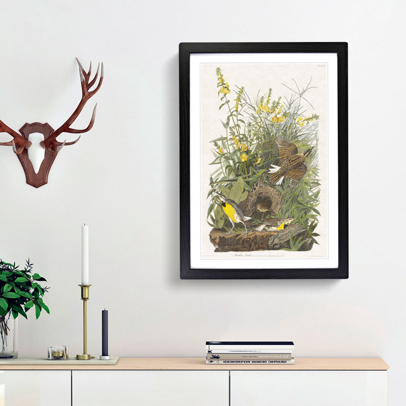 Meadow Larks by John Audubon - Framed Print, 65cm H x 48cm W x 2cm D, Black Framed