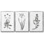 Inky Botanical I, ensemble de 3 toiles encadrées sur toile-97792630-97792633