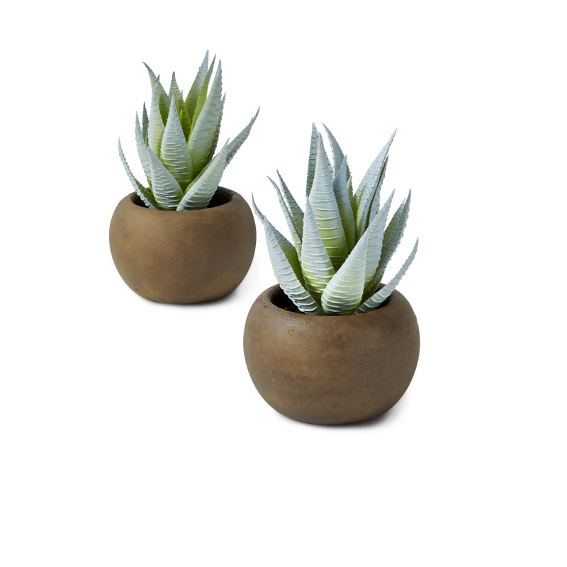 6.25'' Faux Succulent Plant in Stone Pot