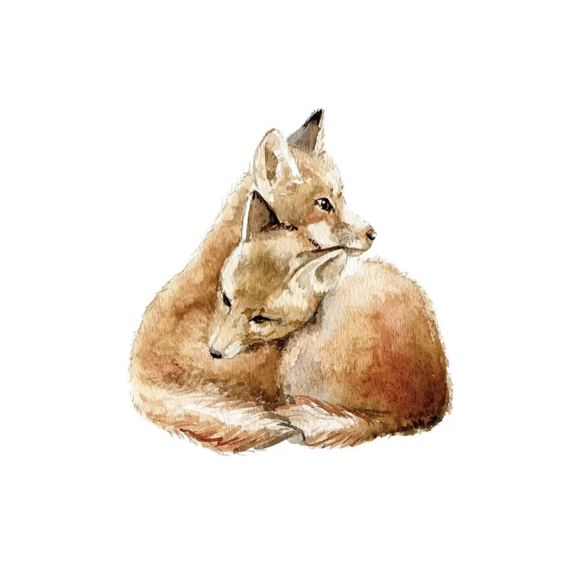Cuddling Foxes by Wandering Laur - Wrapped Canvas Painting, 45.72 cm H x 45.72 cm W x 3.175 cm D