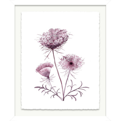 Queen Anne's Lace No. 19