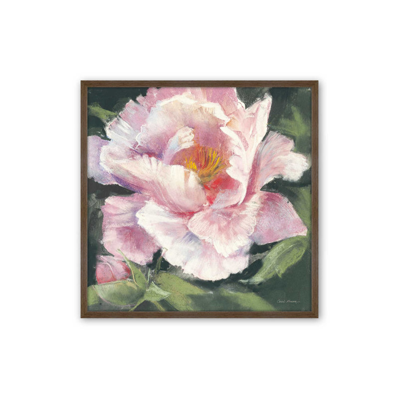 Peony II By Carol Rowan Art Print, Brown, 12" H x 12" W