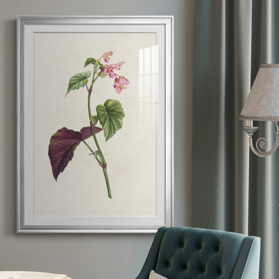 " Pretty Pink Botanicals VI "