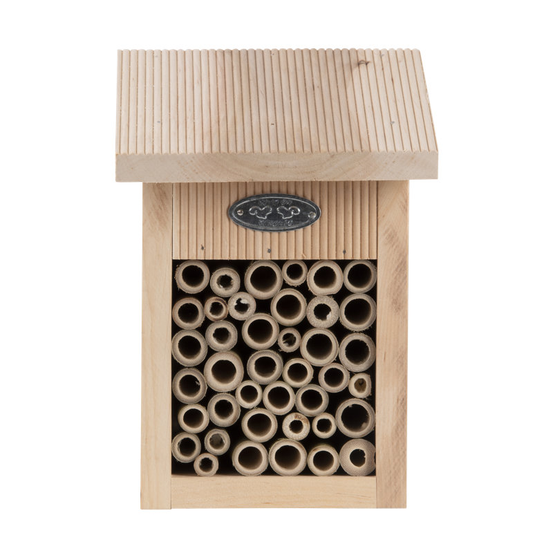 Bee House in Giftbox Fsc 100%