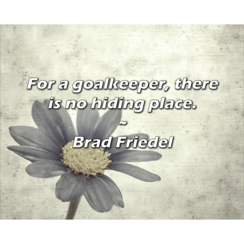 Brad Friedel Citation: Pour un gardien de but, il n'y a pas de cachette., H 20 po x l 24 po