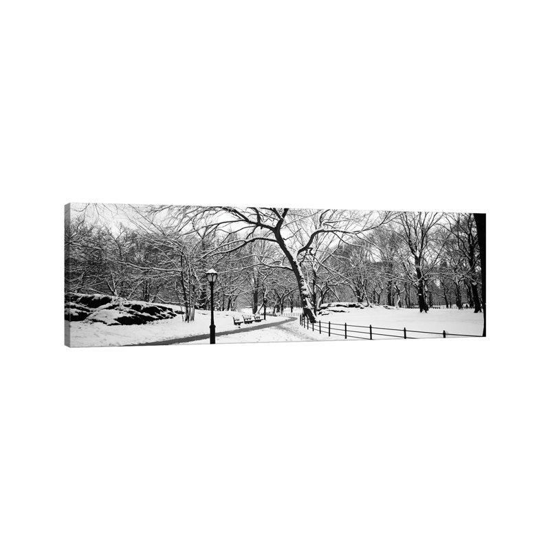 Bare Trees During Winter In A Park, Central Park, Manhattan, New York City, New York State, USA by Panoramic Images - Wrapped Canvas Panoramic Print