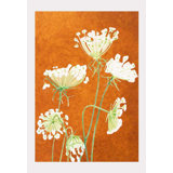 Queen Anne's Lace On Teal Painting by Jessica Hollander