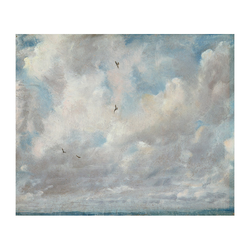 Pindall Matte Peel & Stick Wall Mural, 360 x 250cm