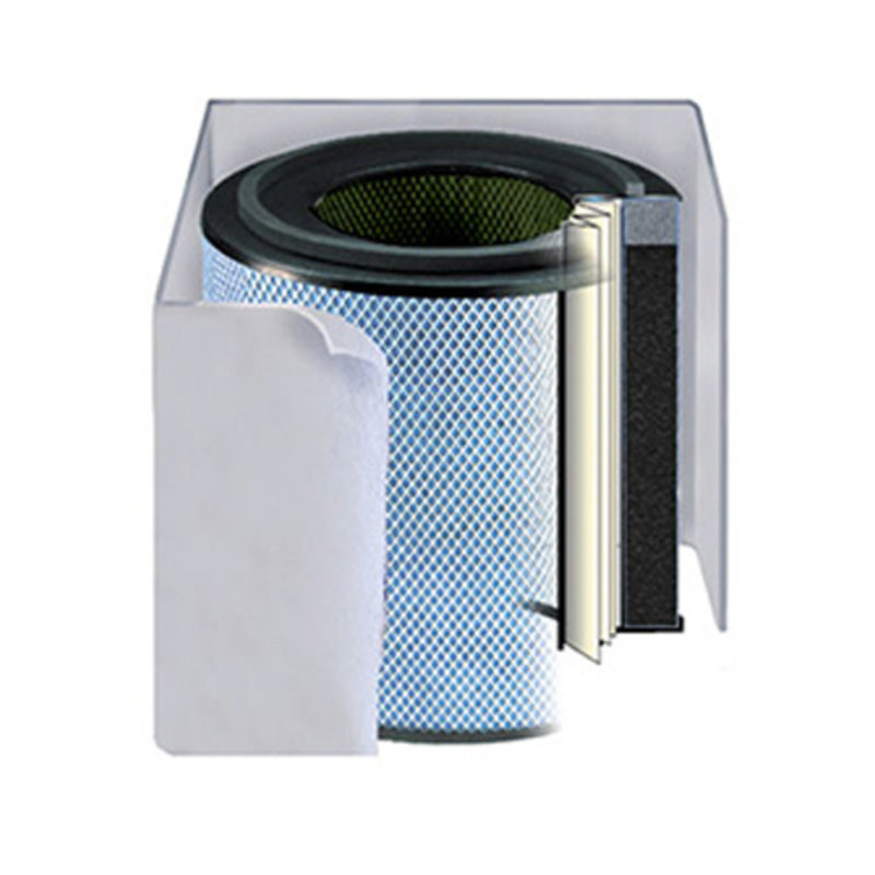 Austin Air Bedroom Machine Replacement Filter, Black