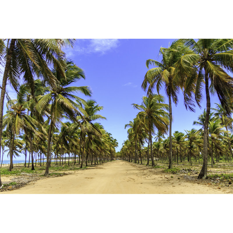 Porto De Galinhas by Daniel Lima - Wrapped Canvas Print, 20cm H x 30cm W