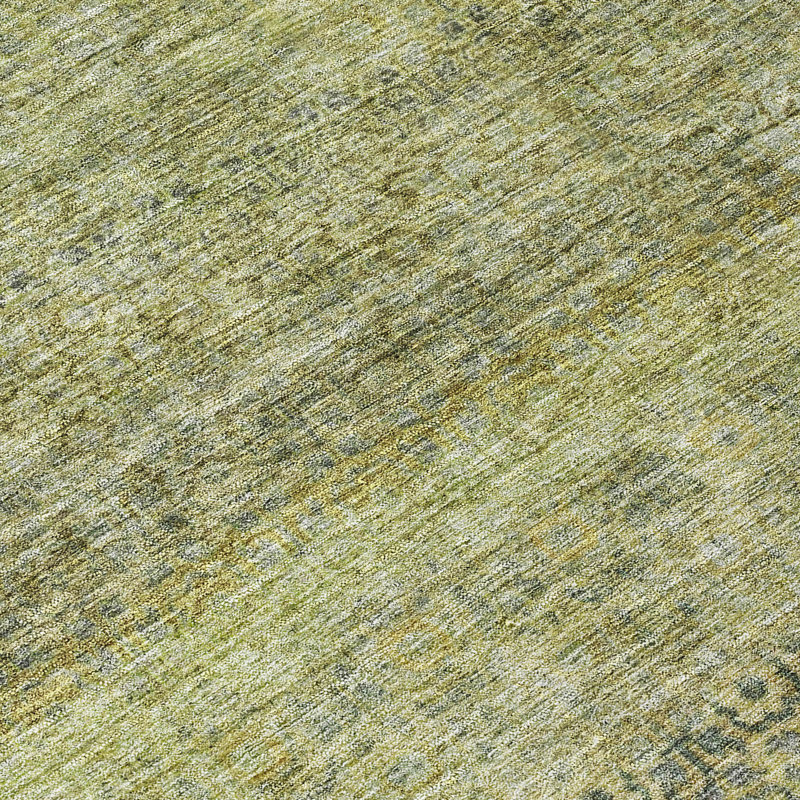 Machine Washable Indoor/Outdoor Cicel ACN1174 Aloe Rug, Rectangle 8' x 10'