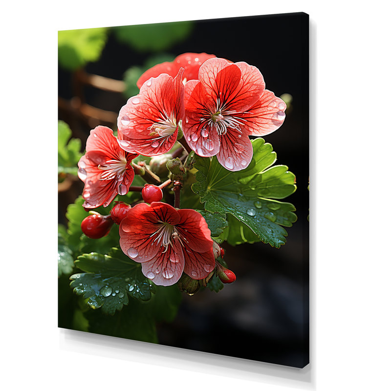 Geraniums roses sous le soleil - géraniums, art mural, Toile tendue, H 32 po x l 24 po x P 1 po