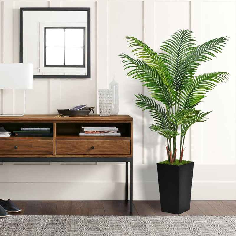 60 plantes, Noir