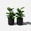 Pot à fleurs rond Demi Series-83894853-97676810-83894851