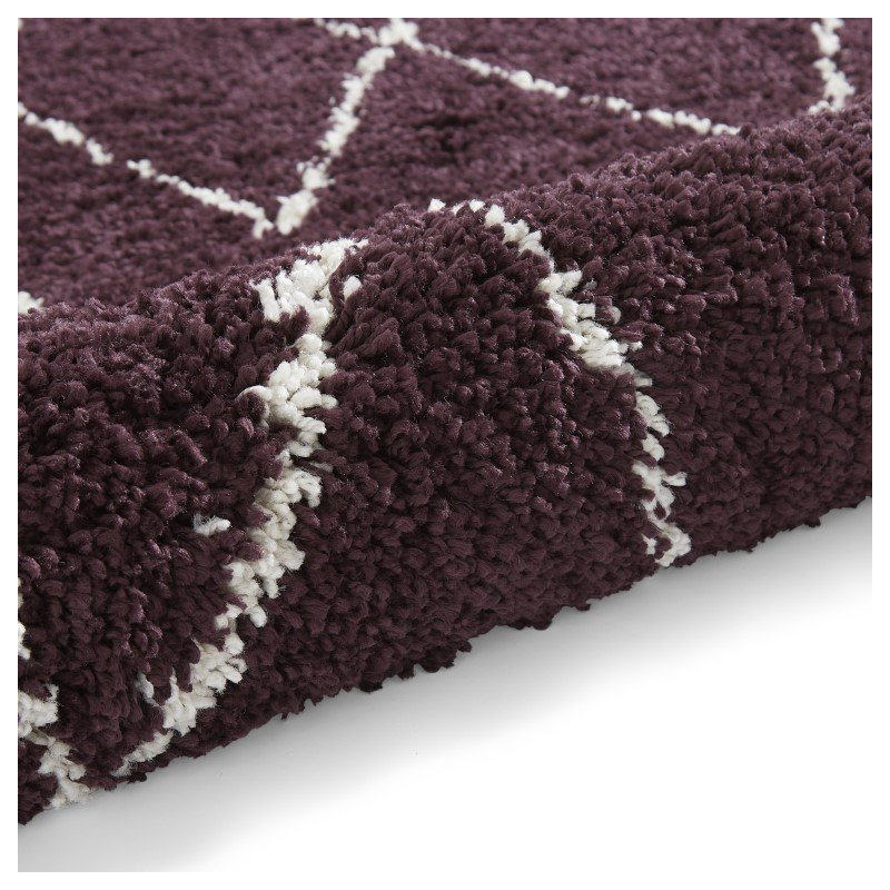 Pechler area rug Machine Woven Purple, Rectangle 120 x 170cm