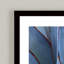 Nature Inspired Blue Agave Abstract by  - Picture Frame Graphic Art on Paper-81386703