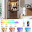 Armoire-penderie à porte en verre Farmhouse-1699448158
