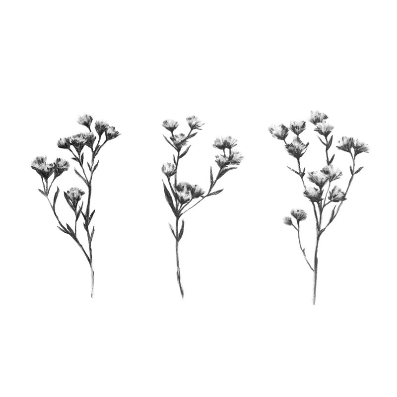 " Wild Thistle IV " by Emma Scarvey Painting Print, 24" H x 36" W x 1.25" D