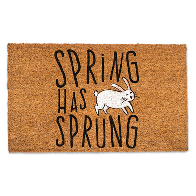 Non-Slip Easter Outdoor Doormat