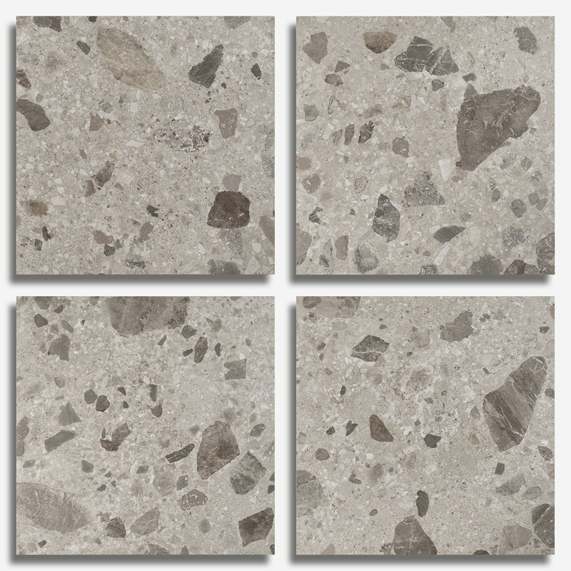 Rizo 24x24 Matte Terrazzo Look Porcelain Tile, Pavement