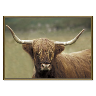 Highland Afternoon by Danita Delimont - Picture Frame Photograph