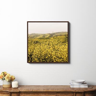 Spring Is Here Yellow Wildflowers by By Brije