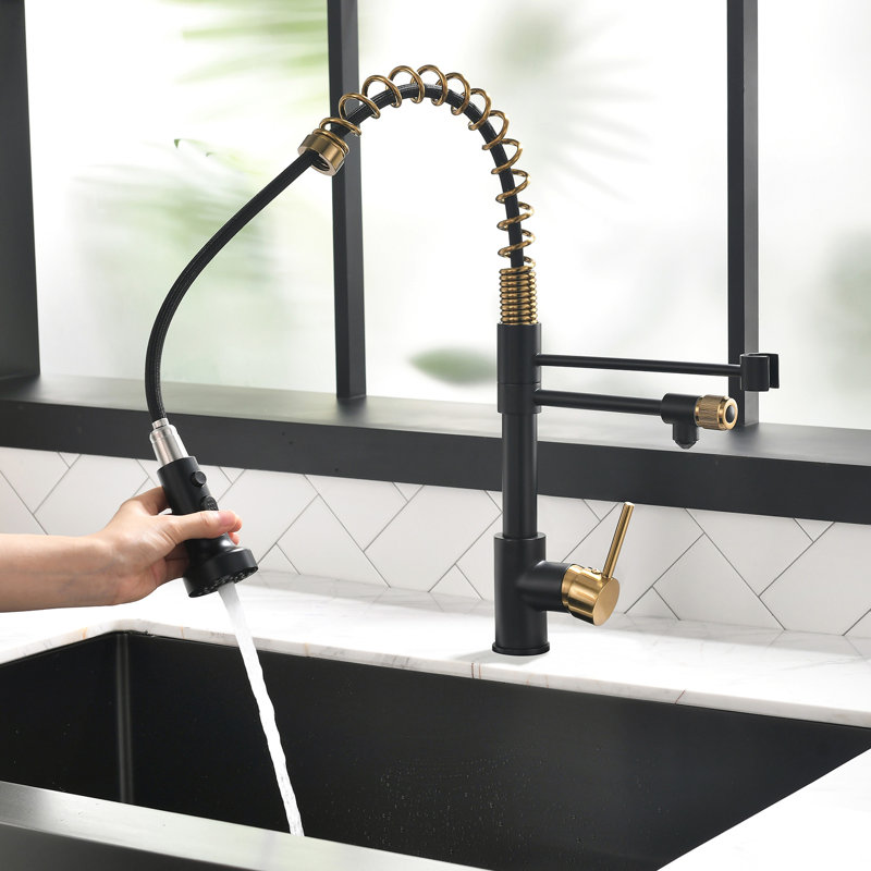 Robinet de cuisine Modern Purifier